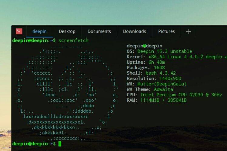deepin-terminal.jpg